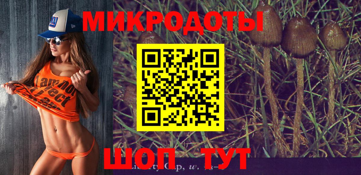 Галлюциногенные грибы мухоморы Мичуринск