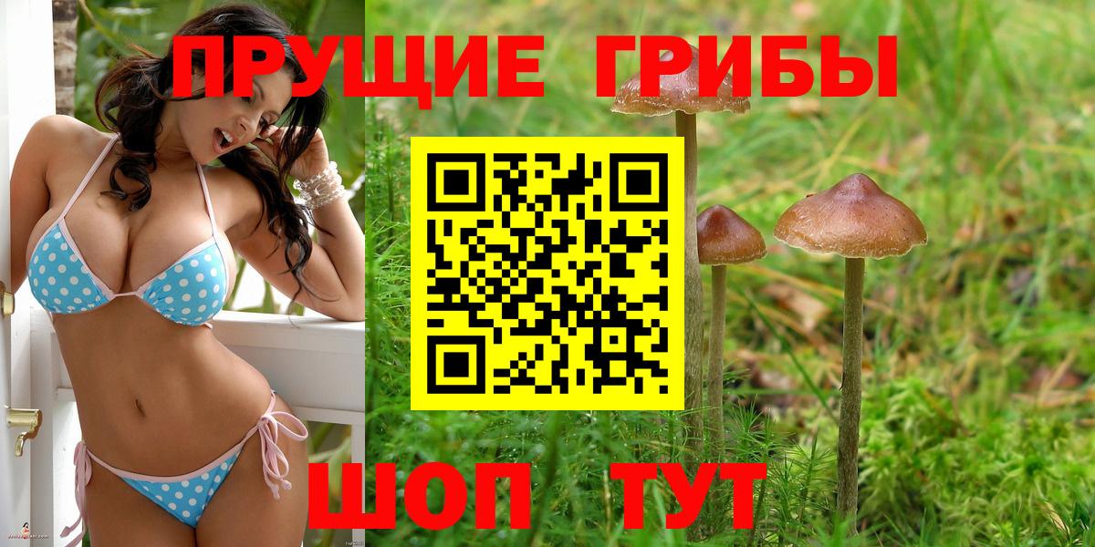 Мичуринск  Галлюциногенные грибы GOLDEN TEACHER  Вход с VPN  Галлюциногенные грибы Cubensis 
